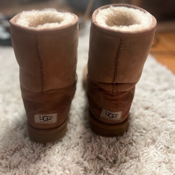 Chestnut classic ugg boots - Picture 8 of 9